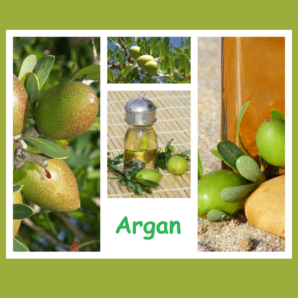 Argan Oil. Moroccan Oil 