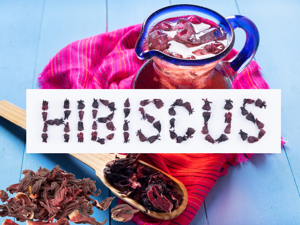 Buy Hibiscus Mackay, Rockhampton, Bunbury, Coffs Harbour, Bundaberg, Melton, Wagga Wagga, Hervey Bay, Mildura – Wentworth, Shepparton – Mooroopna, Port Macquarie, Gladstone – Tannum Sands, Tamworth, Traralgon – Morwell