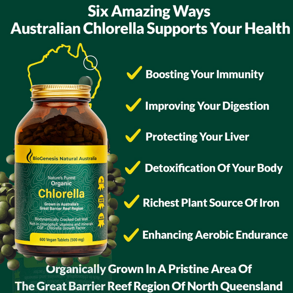  Organic Chlorella Tablets (600 tablets)- BioGenesis Natural Australia   Nature’s Purest Organic Chlorella- 500mg- 600t  BioGenesis Natural Australia (Glass) Nature's Purest Organic Chlorella 500mg 600t  Natural Ingredients  Organically grown in a pristine area of the Great Barrier Reef region of North Queensland.