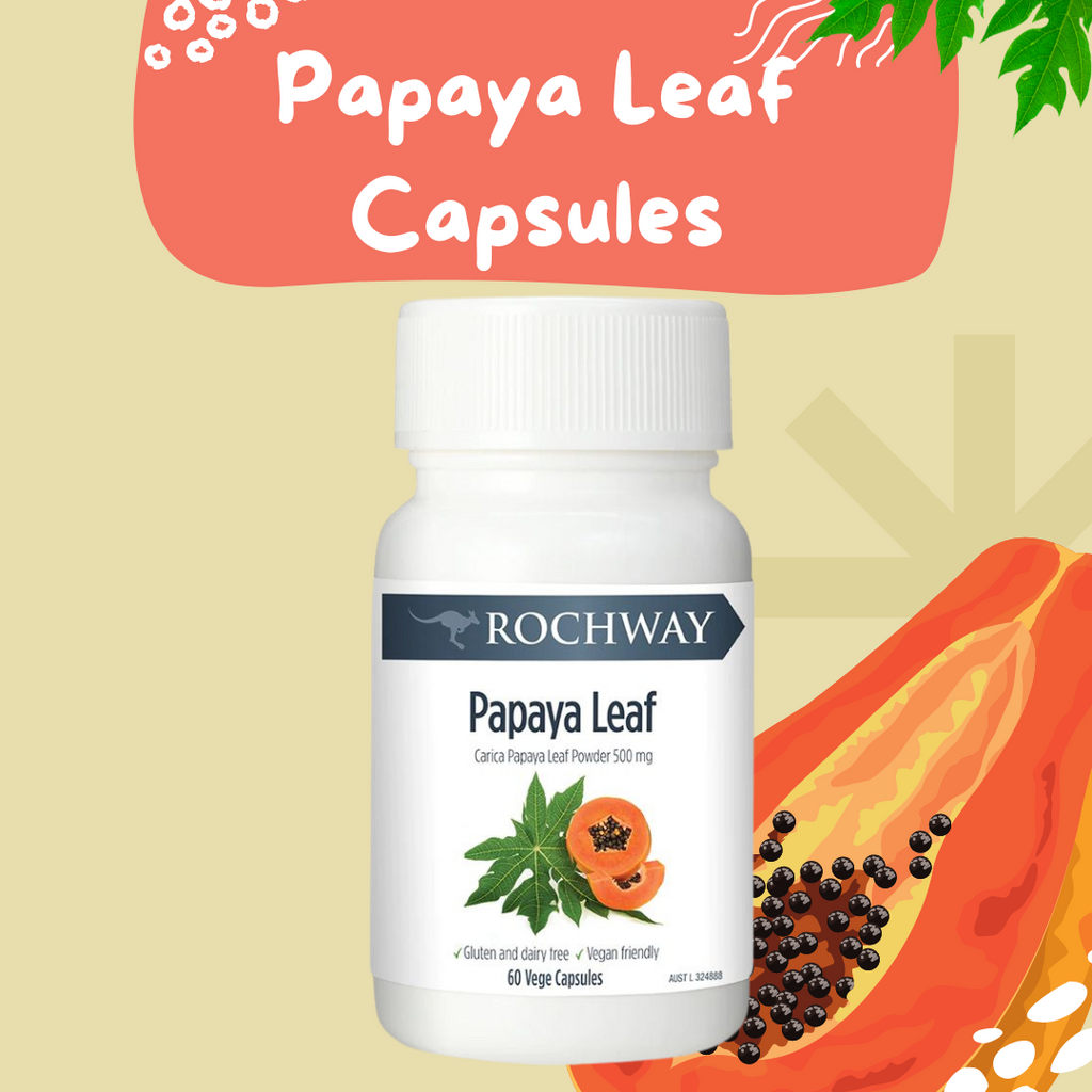  Rochway Papaya Leaf 500mg - TWIN PACK- 2 jars of 60 capsules    THIS ITEM IS CURRENTLY ON SALE.  For a limited time only. You receive 2x jars of 60 capsules.     FREE SHIPPING AUSTRALIA WIDE FOR ALL ORDERS OVER $60.00.