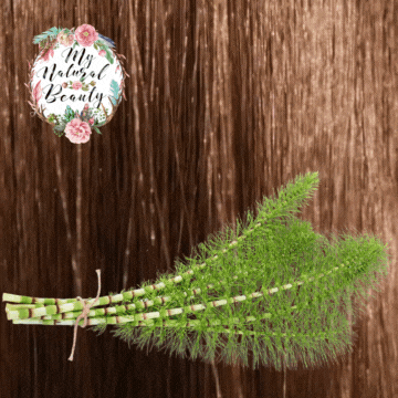 Horsetail Capsules - Hair Growth Supplement Hair, Skin, Nails. Horsetail Grass