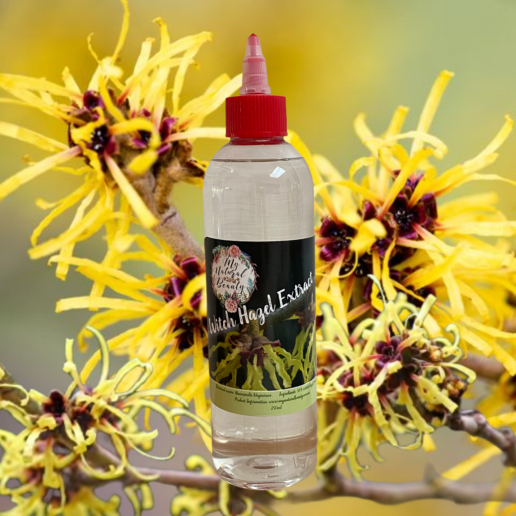 Witch hazel is an astringent that is often used as a natural topical remedy.  It contains several compounds with potent anti-inflammatory and antiviral properties, which may be useful in treating a variety of conditions ranging from acne and scalp sensitivity to hemorrhoids. Natural skincare. Natural Beauty. My Natural Beauty Australia. Bulk natural beauty products online.