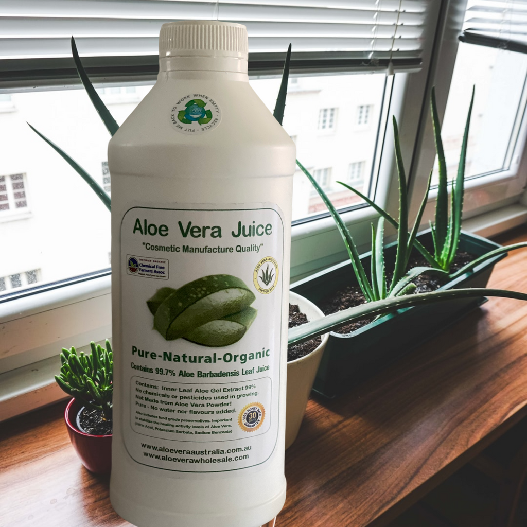  PRODUCT INFORMATION:  •	Barbadensis Leaf Juice •	Aloe Vera Juice obtained from the inner leaf gel of potent Aloe Barbadensis Variety. •	Grown Organically in rich & fertile volcanic soils. •	Very high in beneficial polysaccharides •	Contains all the vitamins, minerals, amino acids and trace elements of the living plant. •	Vitamins: A, B2, B6, B12, C and E.. Aloe Vera Juice