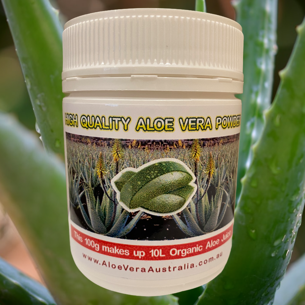 Aloe Vera powder 100g Aloe Vera Australia   Unique mix of 200:1 Dehydrated & Spray dried Organic Aloe Vera Inner leaf gel No Preservatives added – It took 50 x 1kg Aloe leaves to make this 100g  