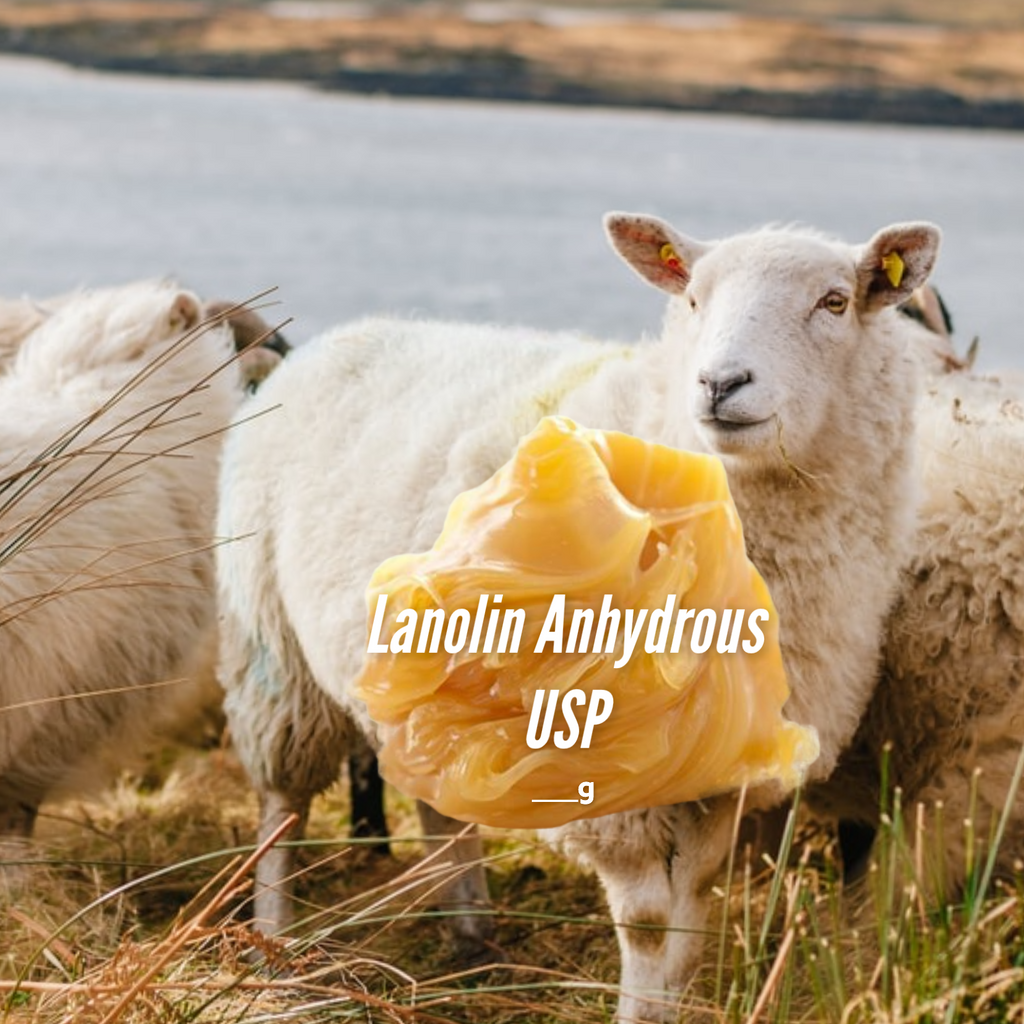 Lanolin Anhydrous. In jar. Buy lanolin online Australia. Lanolin Anhydrous USP Australian. Moisturising Pure Lanolin Australia.