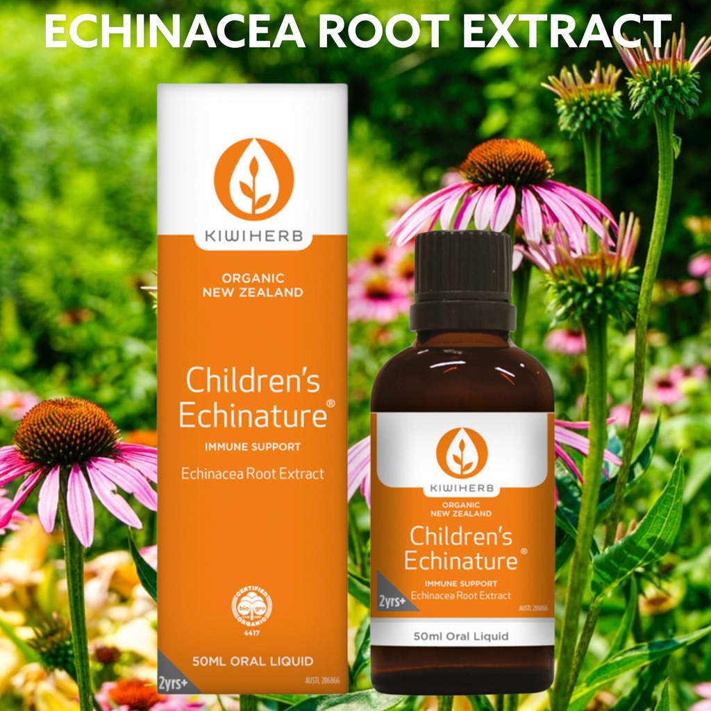 Echinacea purpurea root (organic)   800mg / 4ml In a base of organic apple juice concentrate Flavoured with orange oil. Contains no artificial flavours, sweeteners, colours or preservatives. No added gluten, yeast or dairy derivatives. Contains less than 0.5% v/v ethanol.  Contains sugars as apple juice.