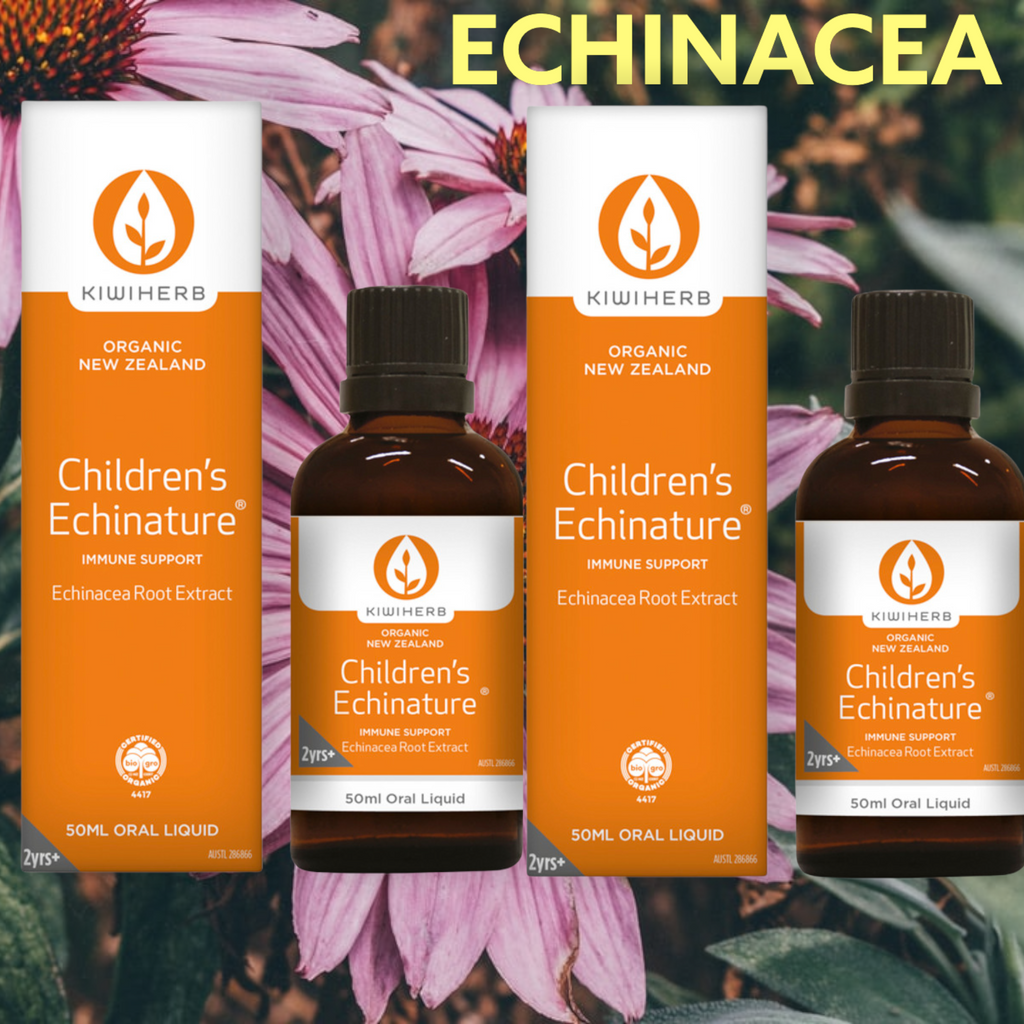 Buy Online Kiwiherb Children's Echinature Oral Liquid 2x 50ml  IMMUNE SUPPORT- ECHINACEA ROOT EXTRACT        FREE SHIPPING AUSTRALIA WIDE FOR ALL ORDERS OVER $60.00        PRODUCT INFORMATION (Information sourced from the manufacturer of this product, Kiwiherb and their distributors):         Children’s Echinature is the essential immune product for children, made from premium certified organic Echinacea root, in a base of organic apple juice with natural orange flavour. 