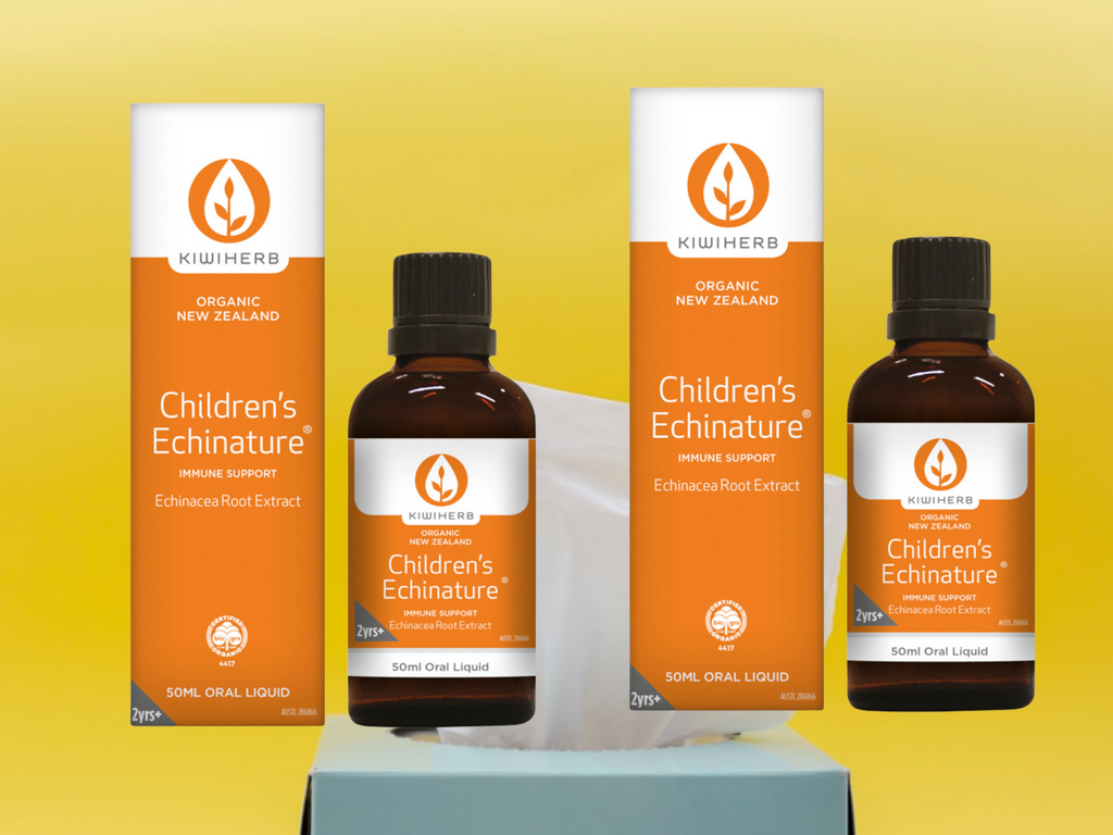 Kiwiherb Children's Echinature Oral Liquid 2x 50ml  IMMUNE SUPPORT- ECHINACEA ROOT EXTRACT        FREE SHIPPING AUSTRALIA WIDE FOR ALL ORDERS OVER $60.00        PRODUCT INFORMATION (Information sourced from the manufacturer of this product, Kiwiherb and their distributors):         Children’s Echinature is the essential immune product for children, made from premium certified organic Echinacea root, in a base of organic apple juice with natural orange flavour. 