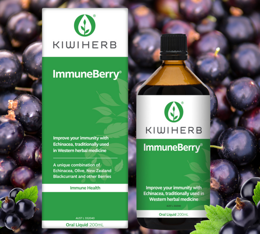 Buy online Kiwiherb ImmuneBerry 200ml   FREE SHIPPING FOR ALL ORDERS OVER $60.00 AUSTRALIA WIDE    Improve your immunity with Echinacea, traditionally used in Western herbal medicine. A unique combination of Echinacea , Olive, New Zealand Blackcurrant and other berries.       Kiwiherb ImmuneBerry combines traditional immune herbs Echinacea, Elderberry and Olive leaf with antioxidant-rich berries, including NZ Blackcurrants – recognised worldwide for its superior levels of antioxidants.