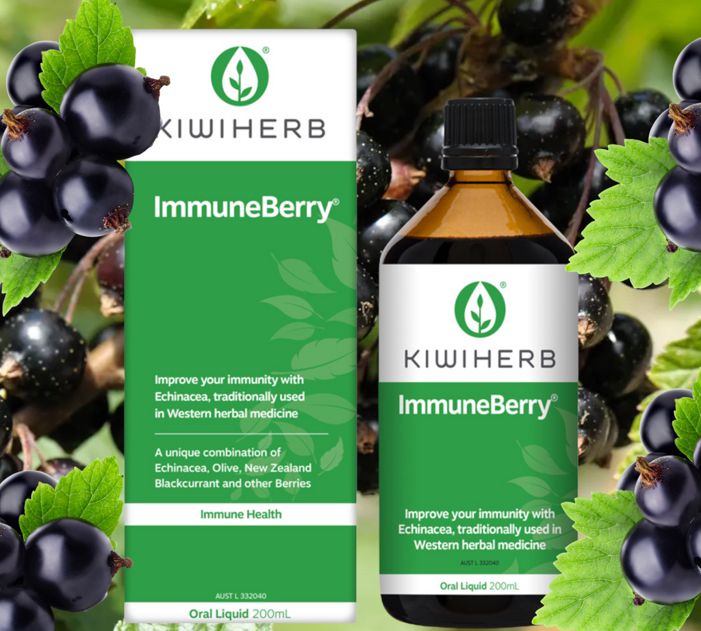 Kiwiherb ImmuneBerry 200ml   FREE SHIPPING FOR ALL ORDERS OVER $60.00 AUSTRALIA WIDE    Improve your immunity with Echinacea, traditionally used in Western herbal medicine. A unique combination of Echinacea , Olive, New Zealand Blackcurrant and other berries.       Kiwiherb ImmuneBerry combines traditional immune herbs Echinacea, Elderberry and Olive leaf with antioxidant-rich berries, including NZ Blackcurrants – recognised worldwide for its superior levels of antioxidants.