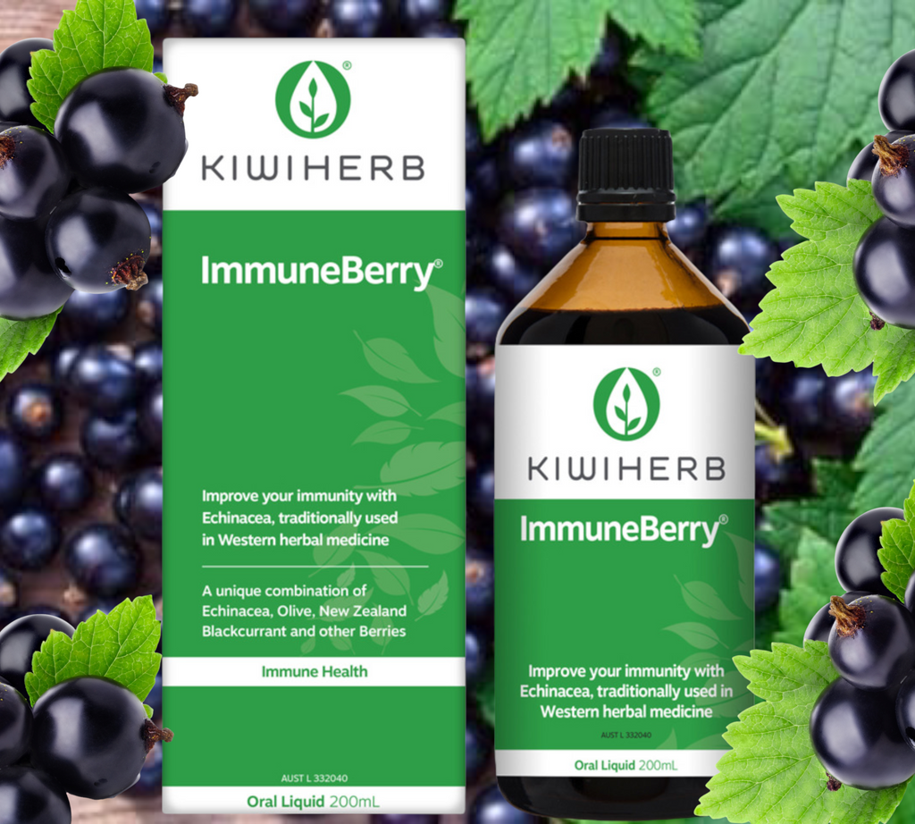 Kiwiherb ImmuneBerry 200ml   FREE SHIPPING FOR ALL ORDERS OVER $60.00 AUSTRALIA WIDE    Improve your immunity with Echinacea, traditionally used in Western herbal medicine. A unique combination of Echinacea , Olive, New Zealand Blackcurrant and other berries.       Kiwiherb ImmuneBerry combines traditional immune herbs Echinacea, Elderberry and Olive leaf with antioxidant-rich berries, including NZ Blackcurrants – recognised worldwide for its superior levels of antioxidants.