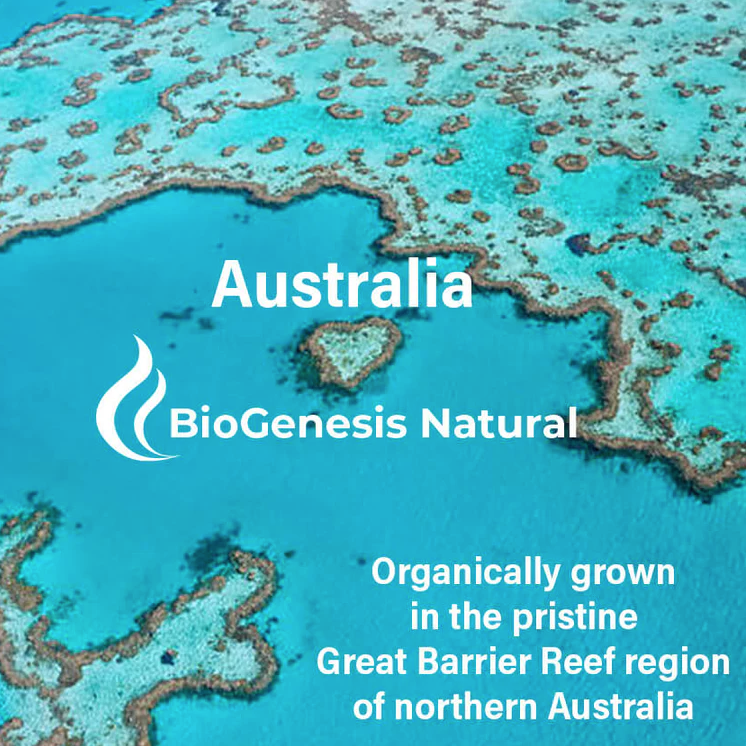Organic Chlorella Tablets (600 tablets)- BioGenesis Natural Australia