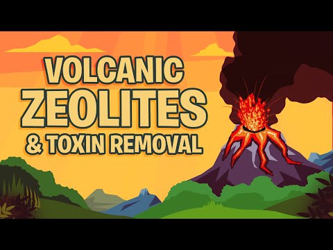 Zeolite Detoxification video